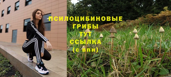бошки Зерноград