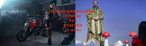 дживик Зеленодольск