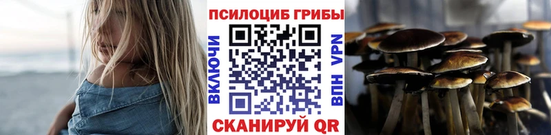 Купить  Касли  Псилоцибиновые грибы прущие грибы 